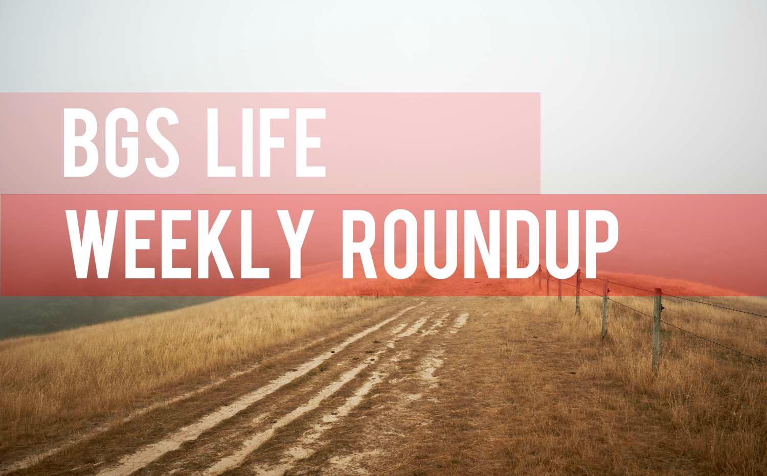 BGS Life Weekly Roundup: International Art, Poaching Eggs, Florida Evangelists and More