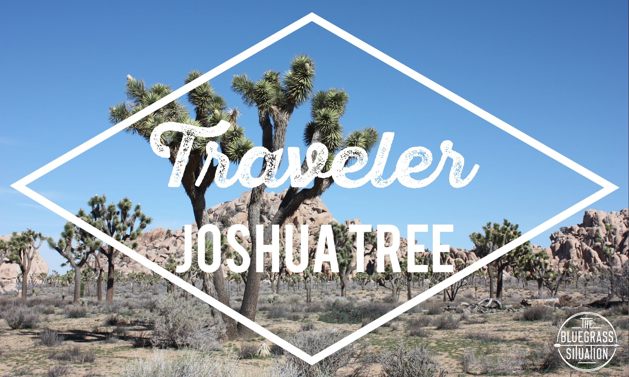 Traveler: Your Guide to Joshua Tree