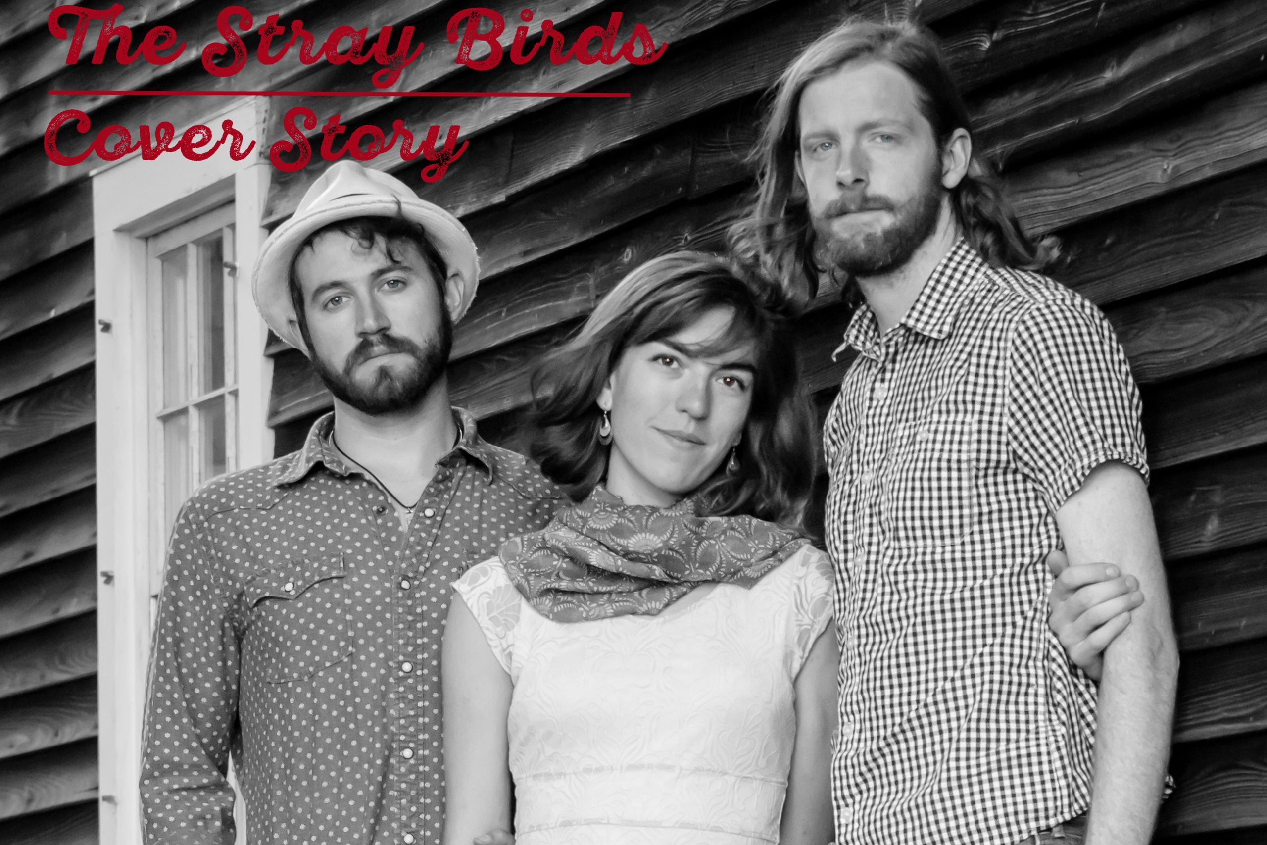 Painting Sounds, Building Bridges, Eating Nachos: A Conversation with the Stray Birds