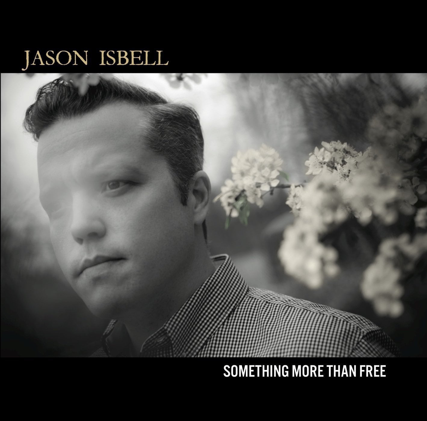 'Something More Than Free'