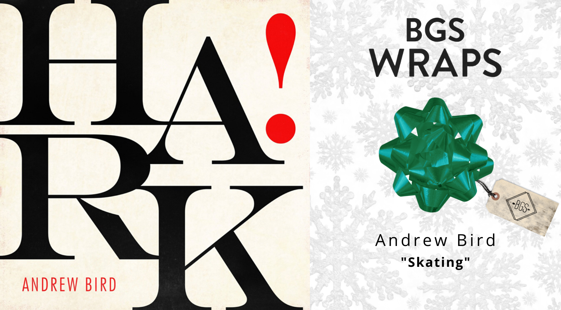 BGS WRAPS: Andrew Bird, 