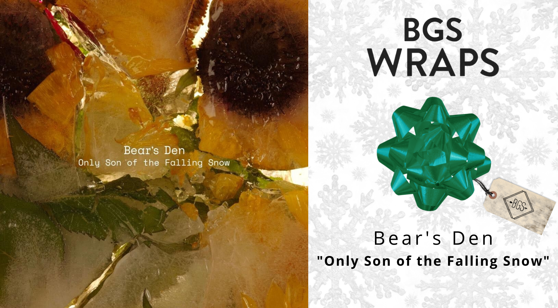 BGS WRAPS: Bear's Den, 