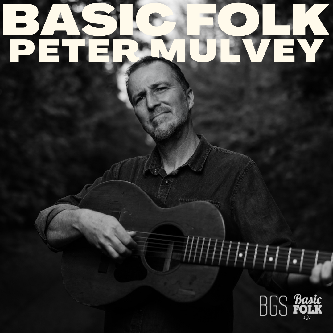 Basic Folk - Steve Forbert