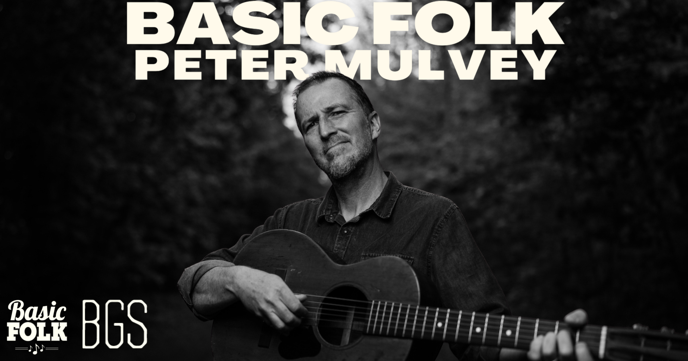 Basic Folk - Peter Mulvey
