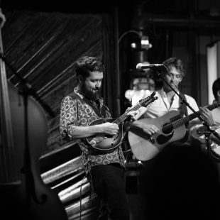 Fireside Collective