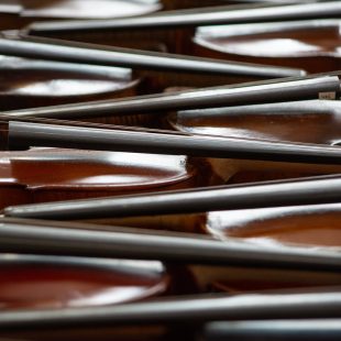 A whole slew of fiddles