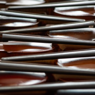 A whole slew of fiddles