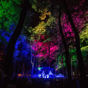 The Backwoods Stage lights up the woods at night.