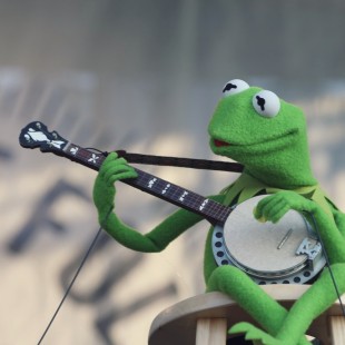 The festivals best-known banjo player -- and perhaps the only surprise guest to rival Dolly -- Kermit the Frog made an appearance Sunday night.