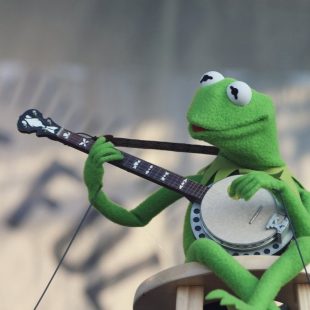 The festivals best-known banjo player -- and perhaps the only surprise guest to rival Dolly -- Kermit the Frog made an appearance Sunday night.