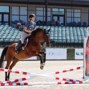 Horse jumping demonstrations were held daily at the festival, held at the Tryon International Equestrian Center. Photo by Rette Solomon.