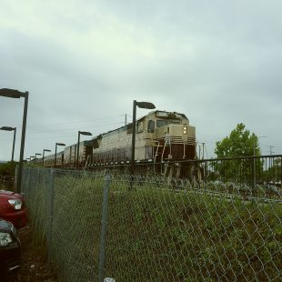 The Napa Valley Wine Train, a huge attraction for tourists and visitors exploring this fertile country.
