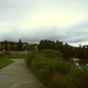 A view of the Westin Verasa Napa and the Napa River from Oxbow Commons.