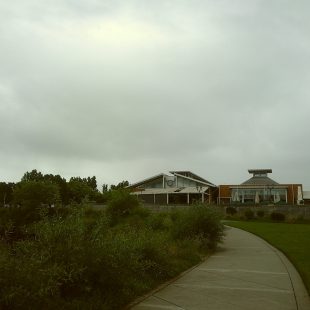 Oxbow Public Market, which features many excellent food and beverage vendors.