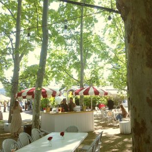 Sun filters through the sycamore trees as guests enjoy the Send-Off Brunch at Raymond Vineyards.